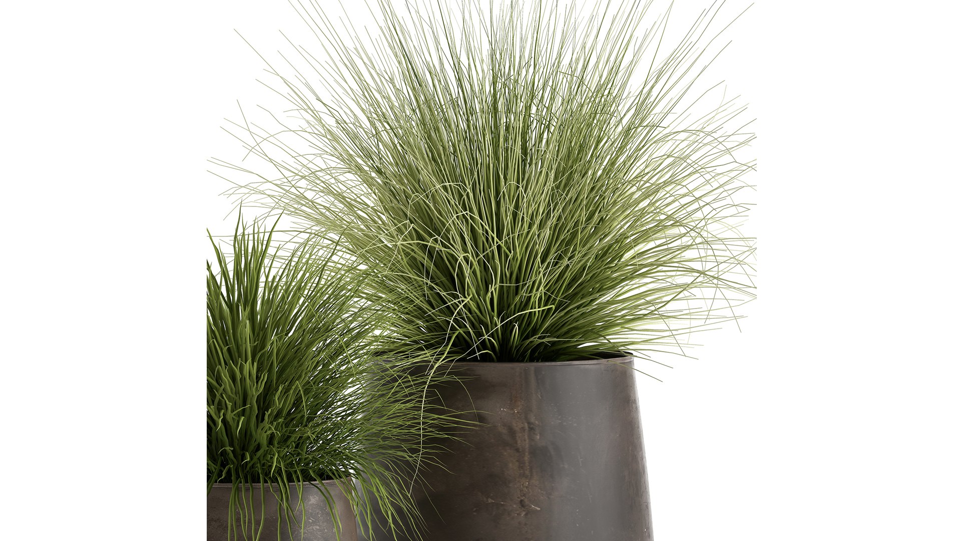 3D ornamental pots grass https://p.turbosquid.com/ts-thumb/9m/xelEfj/g0/1reeds20104202102/jpg/1617375444/1920x1080/fit_q87/426e0ea6affb02fd21ccb15c9157b28515dc8f10/1reeds20104202102.jpg