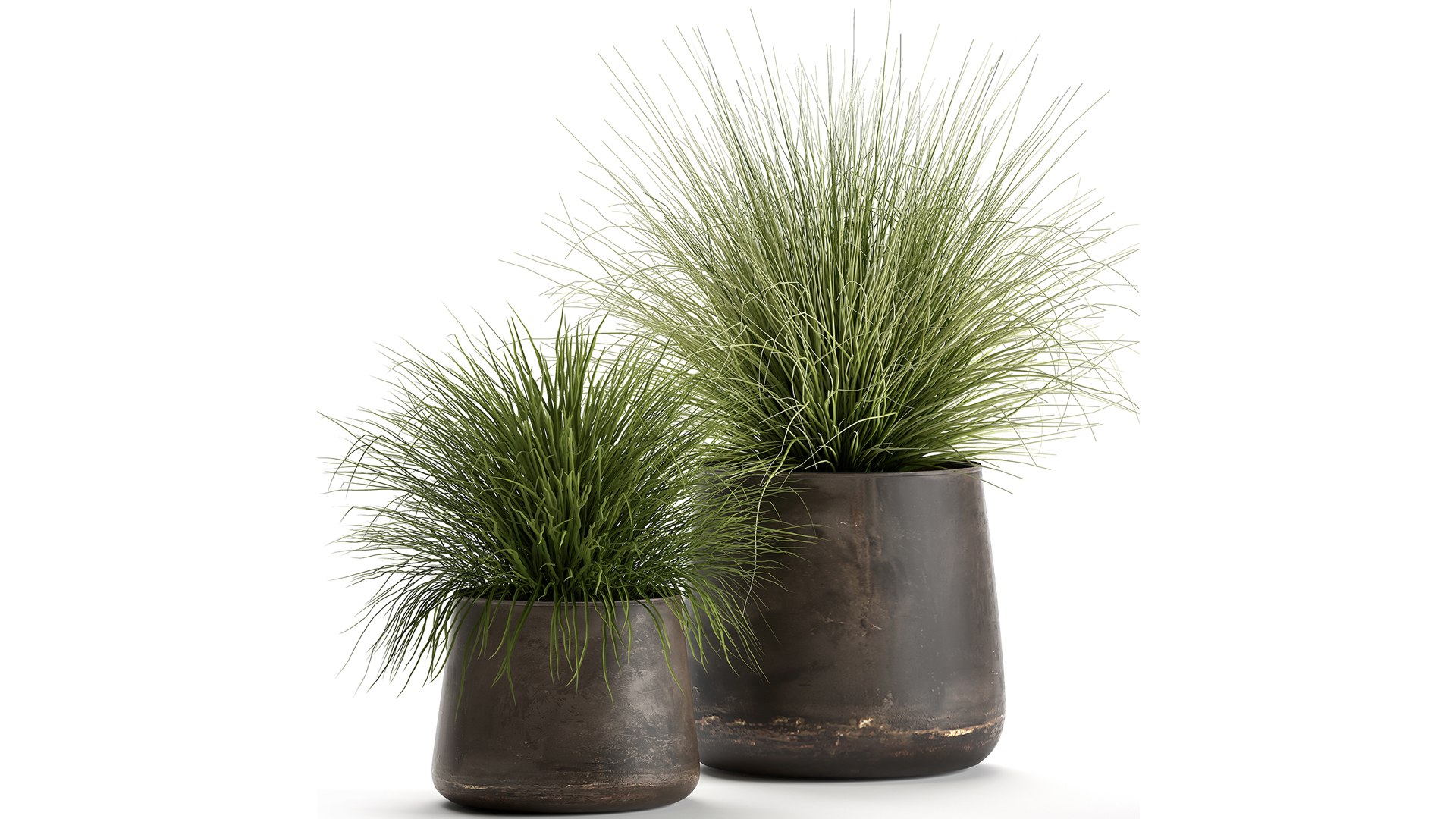 3D ornamental pots grass https://p.turbosquid.com/ts-thumb/9m/xelEfj/rg/1reeds20104202100/jpg/1617375439/1920x1080/fit_q87/0c26adb380c69447f765ace0db0ff995fd19fbb9/1reeds20104202100.jpg