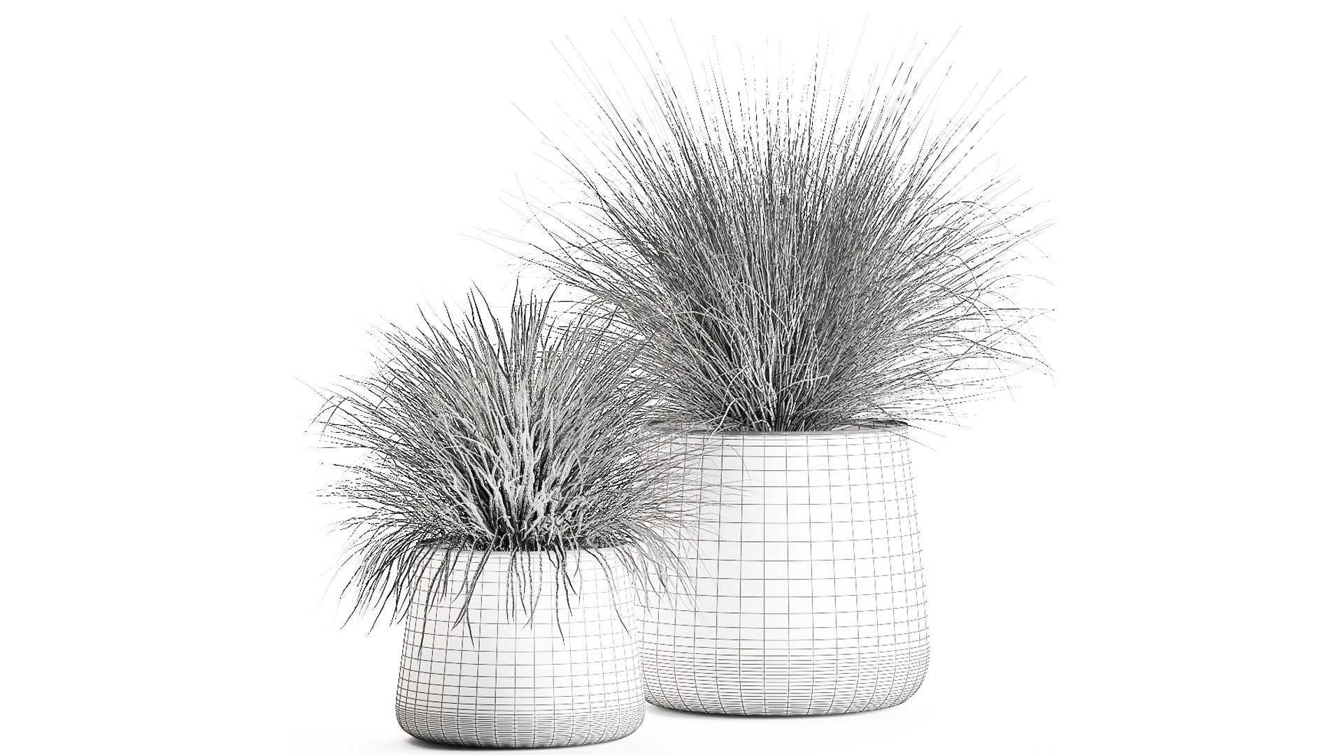3D ornamental pots grass https://p.turbosquid.com/ts-thumb/9m/xelEfj/w7/1reeds20104202109/jpg/1617375441/1920x1080/fit_q87/272721c2be99f3e8690d55cf71ba55b8c6280dd1/1reeds20104202109.jpg