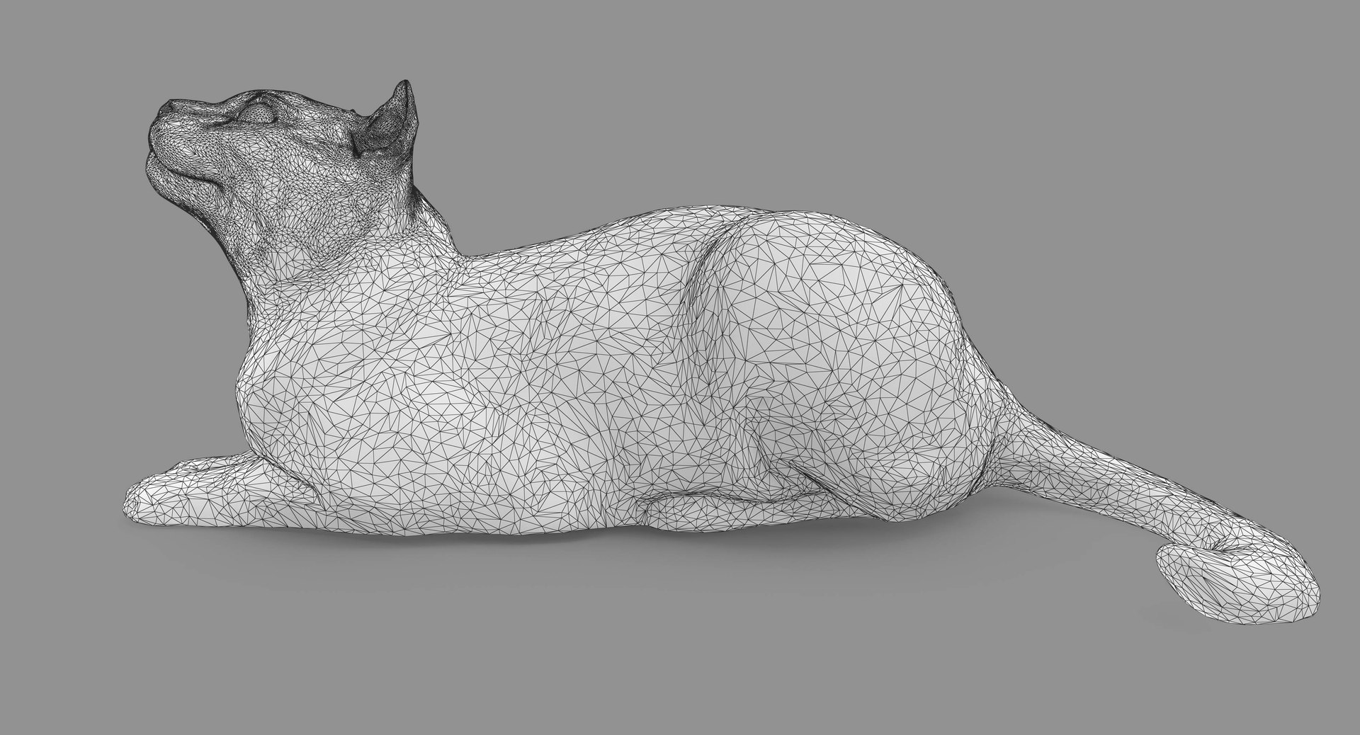 CATTITUDE 3D Wimpern – Abessinian Natural Cat Look, Wiederverwendbar & Leicht Für Dramatische Augen