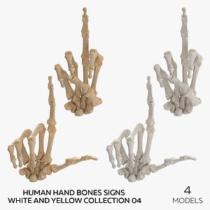 Human Hand Bones Signs White and Yellow Collection 04 - 4 models 3D model