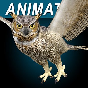 Great Horned Owl - Flight
