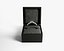 Ring In A Box 3D