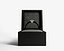 Ring In A Box 3D