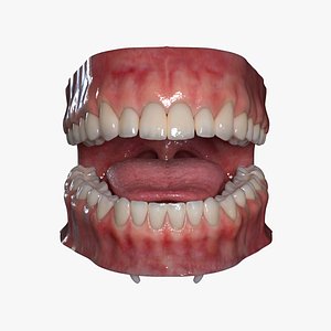 3D realistic mouth rigged