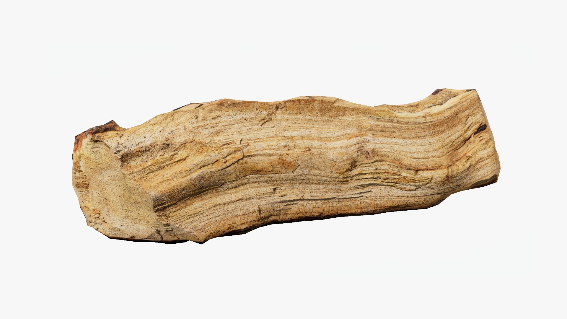 3D Scanned Tree Wood 11 model https://p.turbosquid.com/ts-thumb/9n/tlV47e/1P/b11_p05/jpg/1748427975/1920x1080/fit_q87/e31ce8eec9abbce2cebb60c8d8e6ed34b7b2a119/b11_p05.jpg