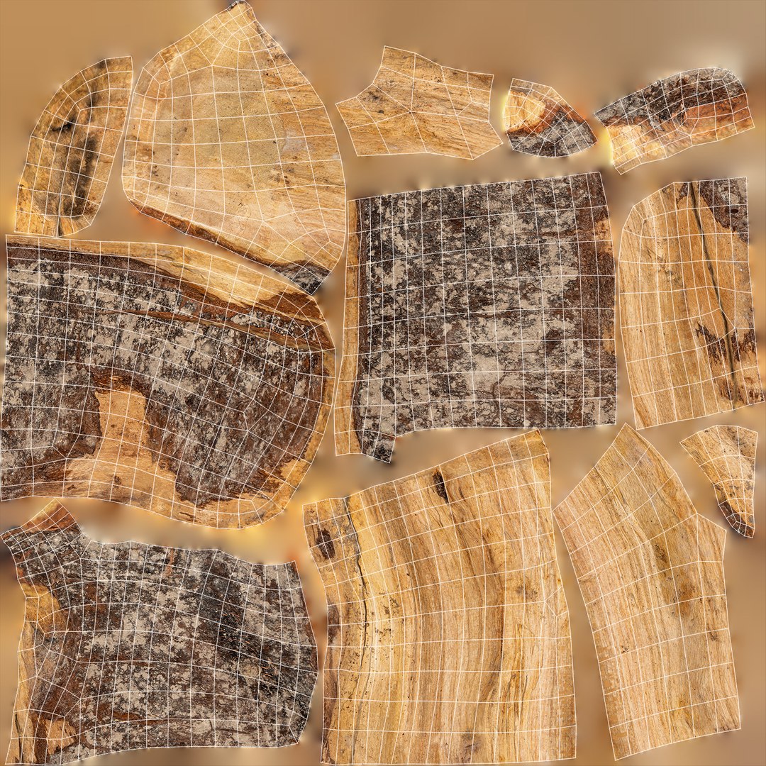 3D Scanned Tree Wood 11 model https://p.turbosquid.com/ts-thumb/9n/tlV47e/3Q/b11_uv/jpg/1748427977/1920x1080/fit_q87/2b3db3d5d4f3c9ad91b14901ae186676aeb5b627/b11_uv.jpg