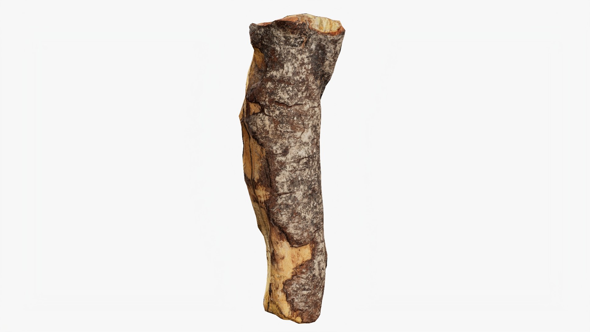 3D Scanned Tree Wood 11 model https://p.turbosquid.com/ts-thumb/9n/tlV47e/5C/b11_p02/jpg/1748427973/1920x1080/fit_q87/4397e994b67eae6db017cf538bc326c183aa8fce/b11_p02.jpg