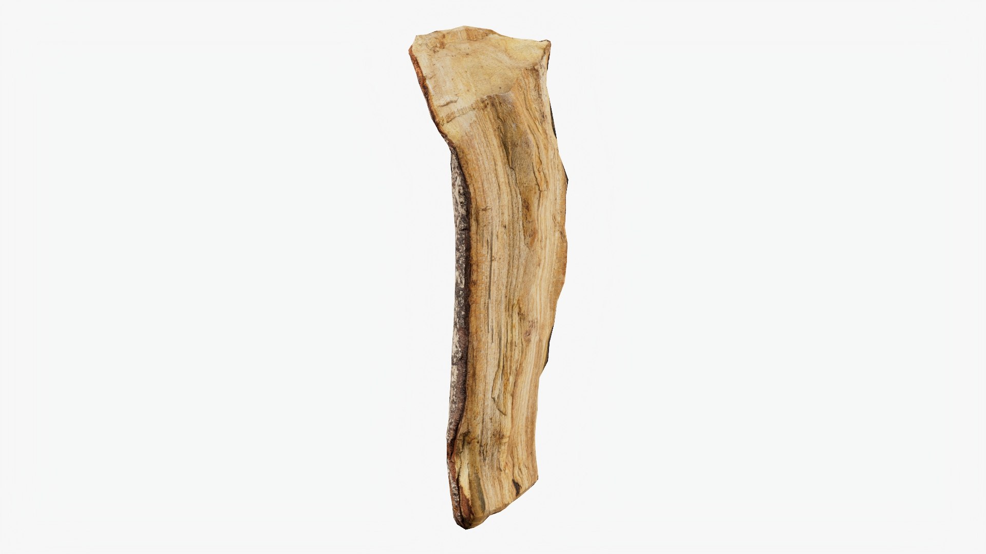 3D Scanned Tree Wood 11 model https://p.turbosquid.com/ts-thumb/9n/tlV47e/Qn/b11_p04/jpg/1748427974/1920x1080/fit_q87/f0ad0d3377c57175c21f2e2654a8745833923052/b11_p04.jpg