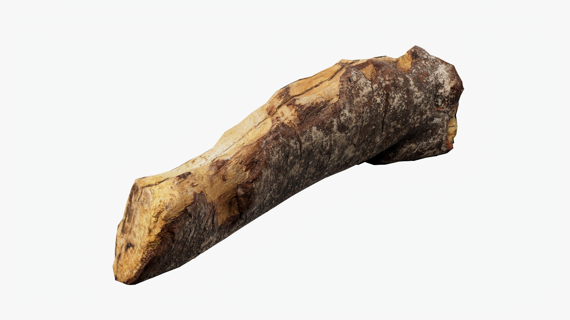 3D Scanned Tree Wood 11 model https://p.turbosquid.com/ts-thumb/9n/tlV47e/le/b11_p06/jpg/1748427975/1920x1080/fit_q87/58bbd7710ae92bba55aa4ebb071b3110e158fed0/b11_p06.jpg