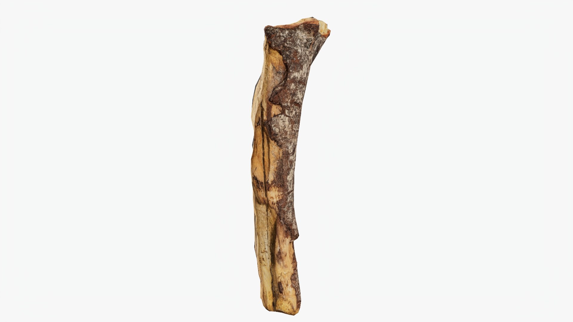 3D Scanned Tree Wood 11 model https://p.turbosquid.com/ts-thumb/9n/tlV47e/vq/b11_p01/jpg/1748427972/1920x1080/fit_q87/c5b3401161a18056b4626f21b2ea705d8d040c3a/b11_p01.jpg