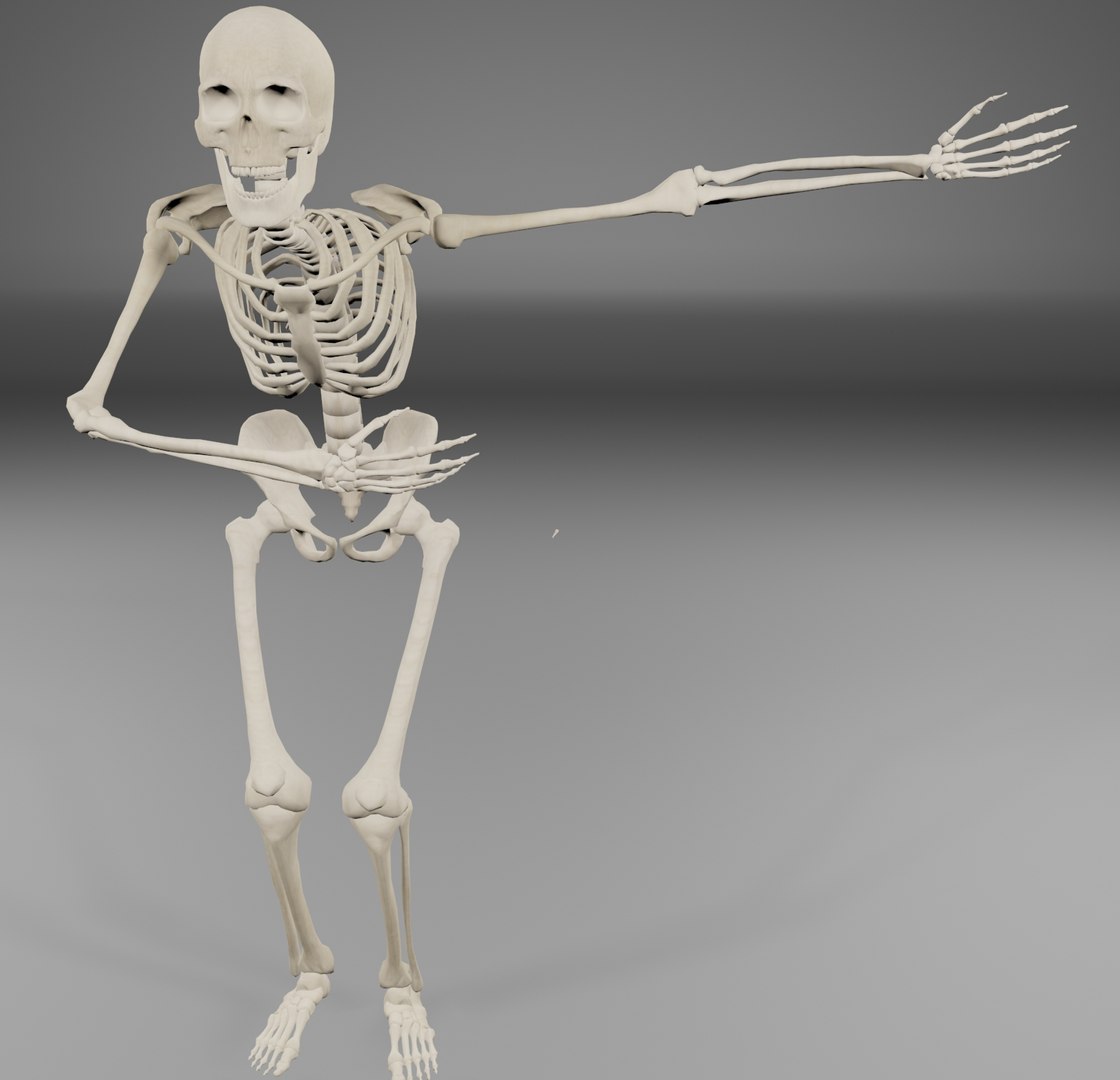 rigged skelet 3d model https://p.turbosquid.com/ts-thumb/9o/632xjV/SI81Wnfi/8/jpg/1426528218/1920x1080/fit_q87/78455e9dd62b8d5a99aa4aeb924e7ce3bb420b73/8.jpg