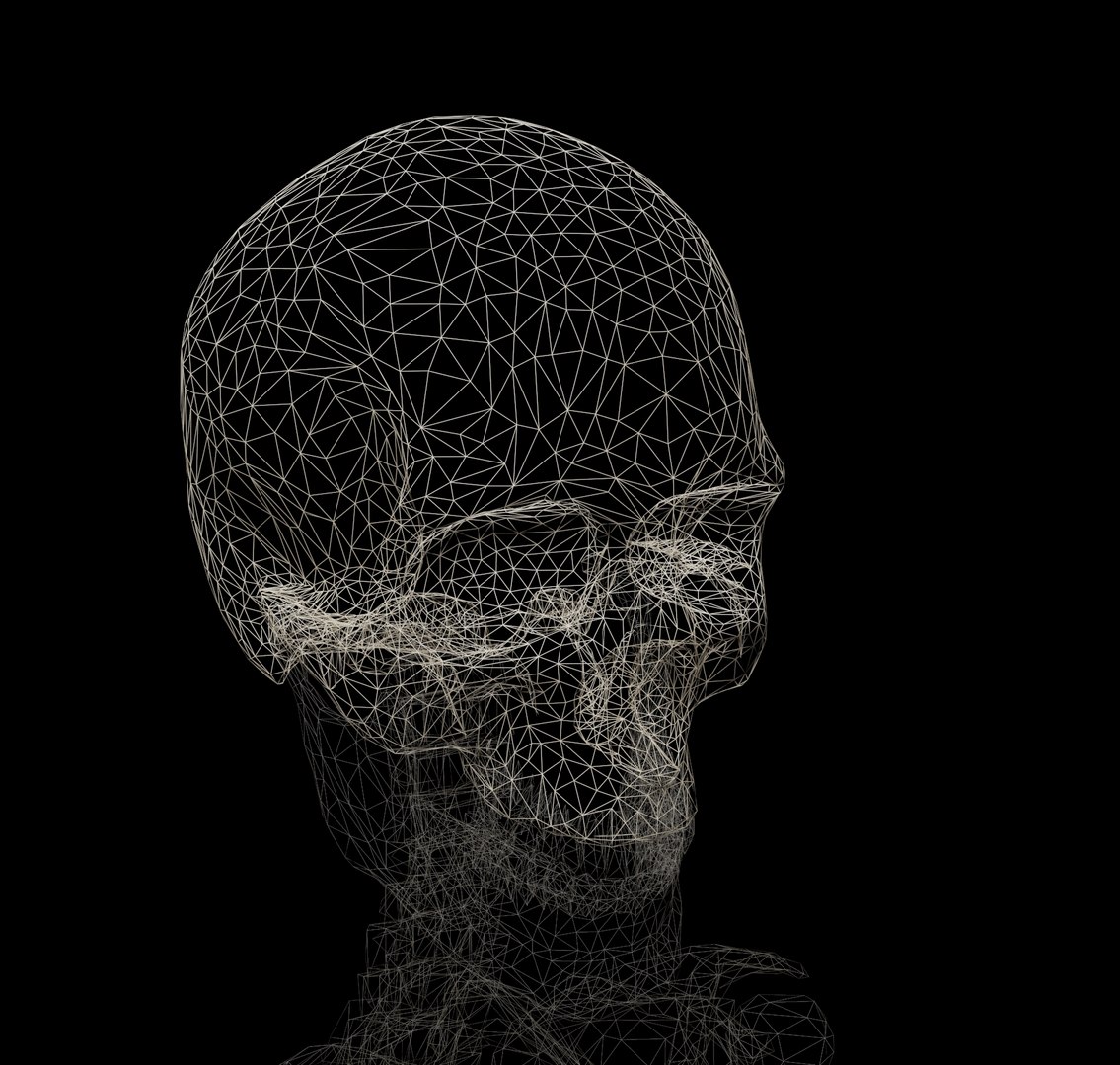 rigged skelet 3d model https://p.turbosquid.com/ts-thumb/9o/632xjV/mvUph84K/wire01/jpg/1426528218/1920x1080/fit_q87/f262cf1ebf75887880c9b8358608010caa703750/wire01.jpg