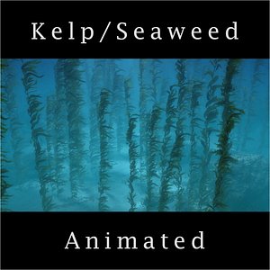 Seaweed Kelp Animated