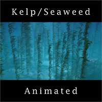 Seaweed Kelp Animated