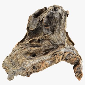 3D model Tree Trunk Piece 09