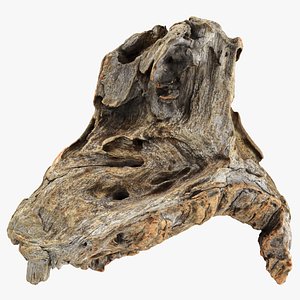 Tree Trunk Piece 09