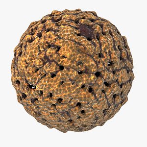 3d dengue virus