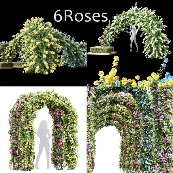 6 Different Climbing Roses 3D model - TurboSquid 1915321