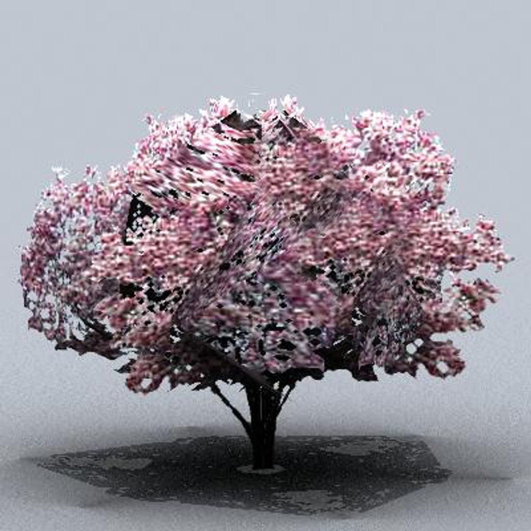 tree 3d model https://p.turbosquid.com/ts-thumb/9o/mtnkaX/5e2wIUGq/trsmall0205/jpg/1082644657/1920x1080/fit_q87/ec73a2ab6270a2011c0f9e8d14dc831ecc57b327/trsmall0205.jpg