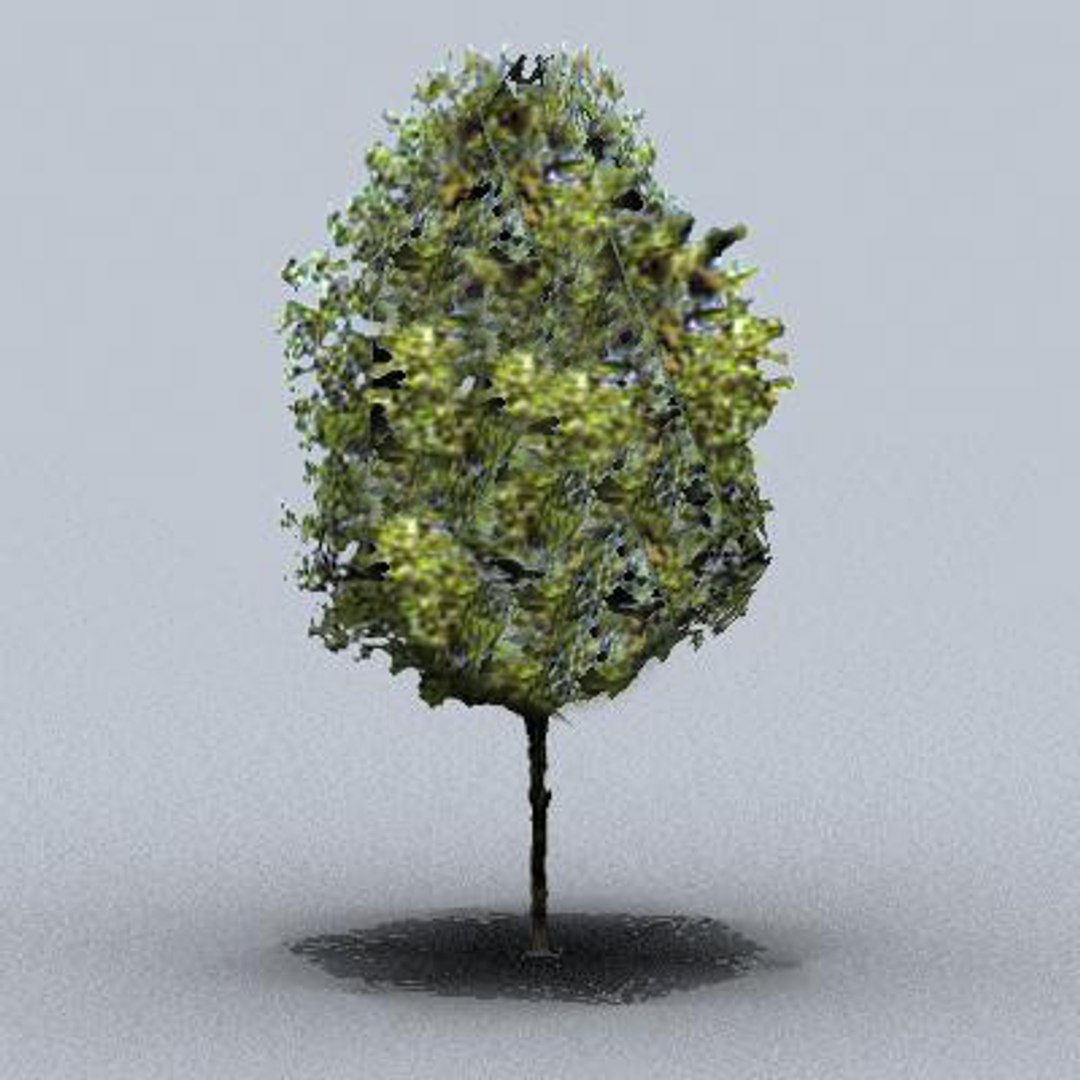 tree 3d model https://p.turbosquid.com/ts-thumb/9o/mtnkaX/BV5PTI21/trsmall0209/jpg/1082644667/1920x1080/fit_q87/f134fb3f539bf4f7328a7bc4c2c252bfb66437ee/trsmall0209.jpg