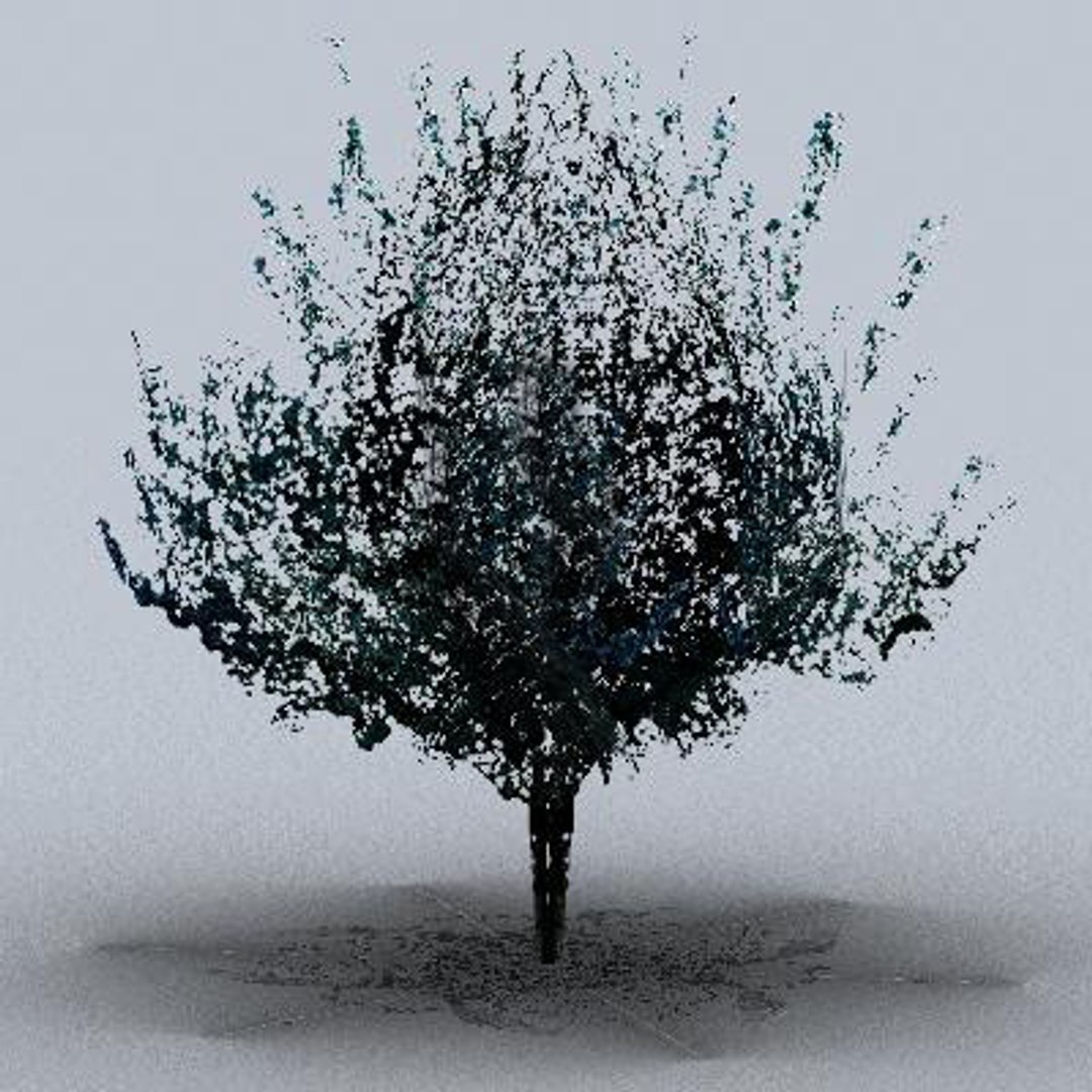 tree 3d model https://p.turbosquid.com/ts-thumb/9o/mtnkaX/IUUow8VB/trsmall0212/jpg/1082644674/1920x1080/fit_q87/c3334c55a6c2f2047c4e01235bba1c3b2484211f/trsmall0212.jpg
