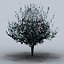 trees small 02