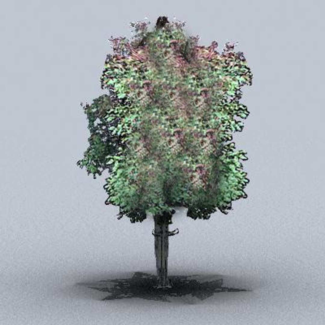 tree 3d model https://p.turbosquid.com/ts-thumb/9o/mtnkaX/IUXurUaB/trsmall0211/jpg/1082644672/1920x1080/fit_q87/f8bcf7b7f80869b64c3d2219418a11dc305974eb/trsmall0211.jpg