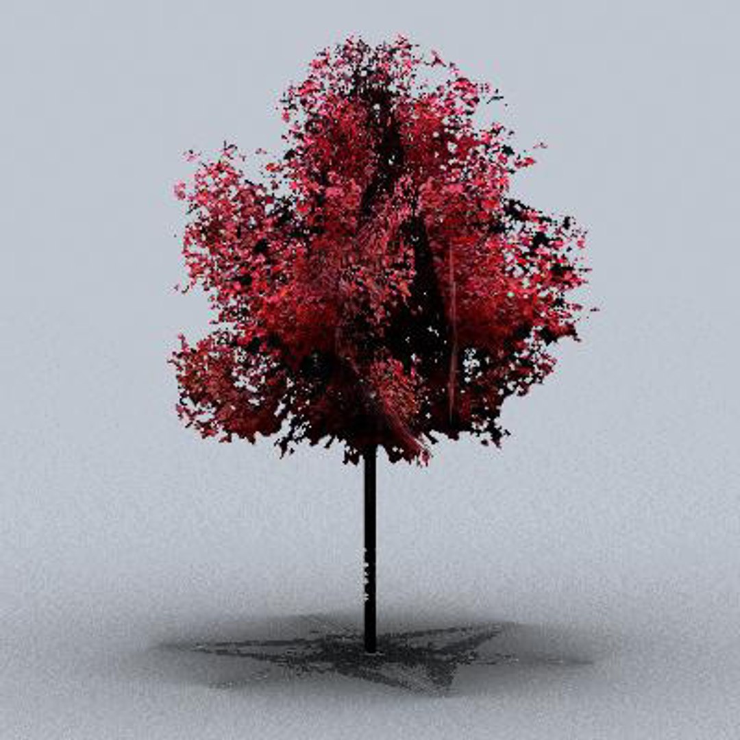 tree 3d model https://p.turbosquid.com/ts-thumb/9o/mtnkaX/KPEwve3G/trsmall0208/jpg/1082644665/1920x1080/fit_q87/efb46bd5713b4ce3b5542220315d980c598b7abe/trsmall0208.jpg