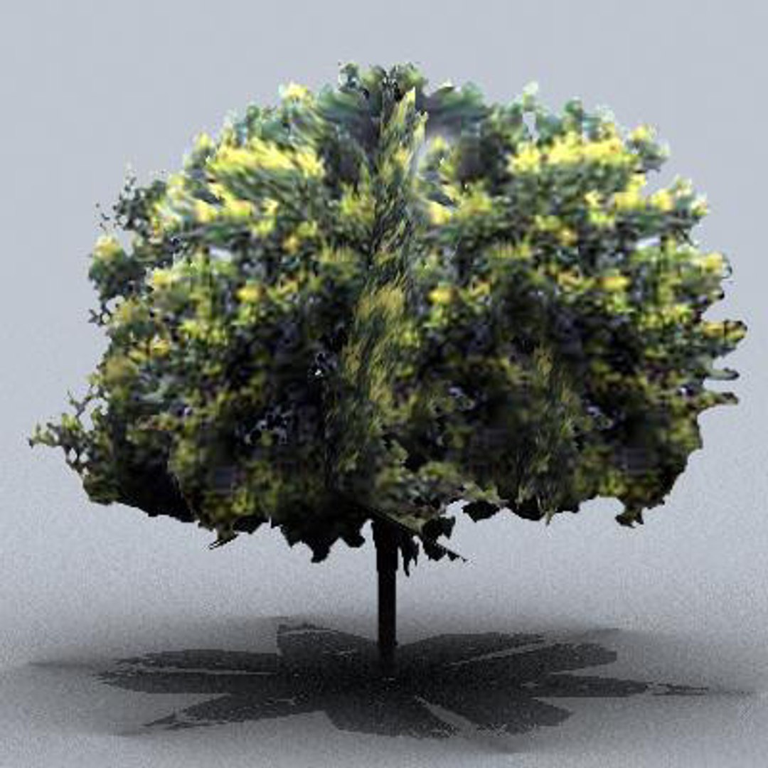 tree 3d model https://p.turbosquid.com/ts-thumb/9o/mtnkaX/OFAIW2jx/trsmall0210/jpg/1082644670/1920x1080/fit_q87/467fa2dba613ecda9f1e3e7e97933c7795c06a80/trsmall0210.jpg