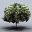 trees small 02