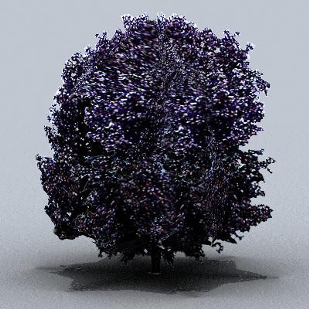 tree 3d model https://p.turbosquid.com/ts-thumb/9o/mtnkaX/OOWUF6Bb/trsmall0203/jpg/1082644651/1920x1080/fit_q87/877b7548bafec917a249397fc1e3b4f3e91998c2/trsmall0203.jpg