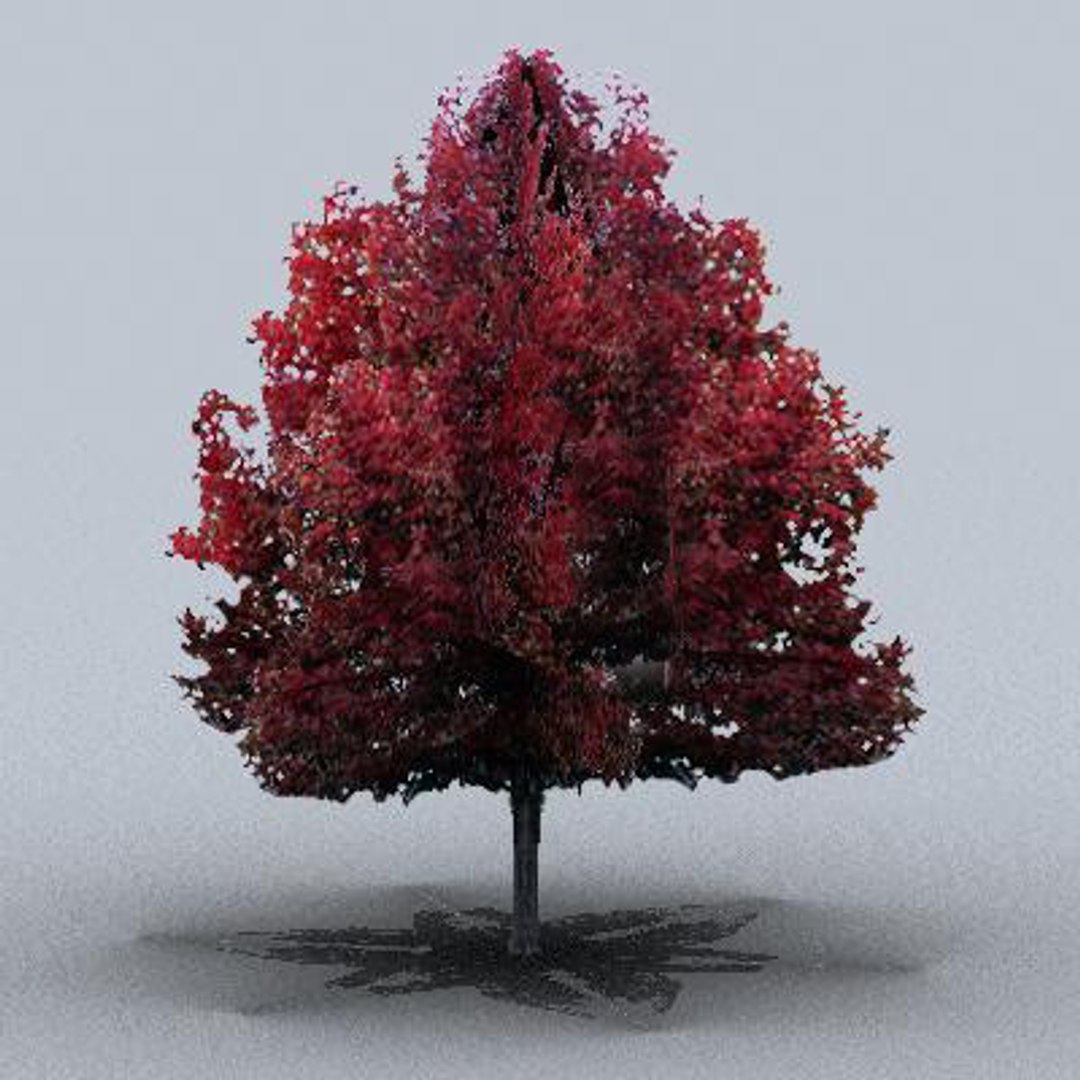 tree 3d model https://p.turbosquid.com/ts-thumb/9o/mtnkaX/W85bNmgf/trsmall0207/jpg/1082644662/1920x1080/fit_q87/4c075819ccd71e6ae26e46dd9042865df32f8db0/trsmall0207.jpg