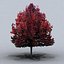 trees small 02