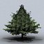 trees small 02