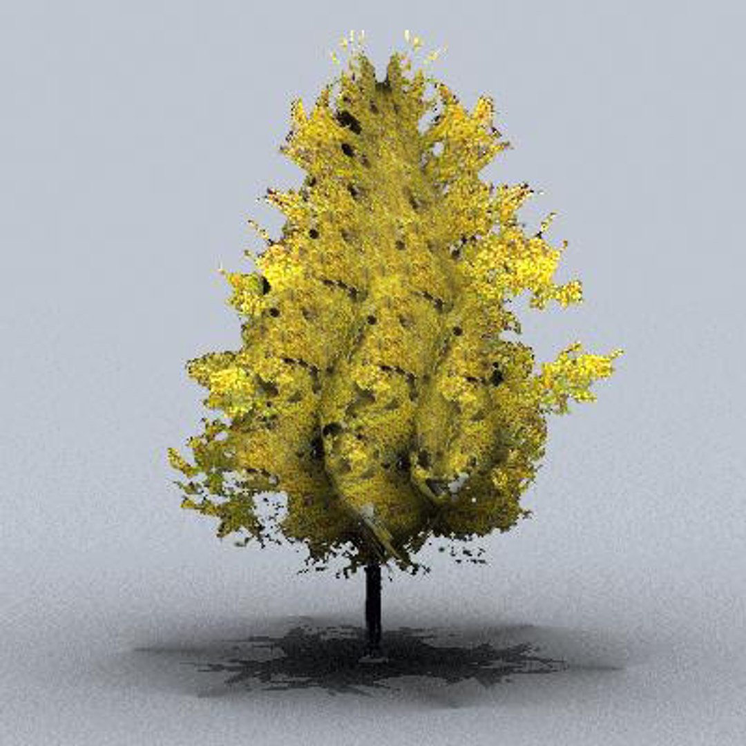 tree 3d model https://p.turbosquid.com/ts-thumb/9o/mtnkaX/xNV7Vi93/trsmall0202/jpg/1082644649/1920x1080/fit_q87/c252ddfb15d6dcc40c6bb9b47483f0b734484d34/trsmall0202.jpg