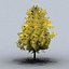 trees small 02