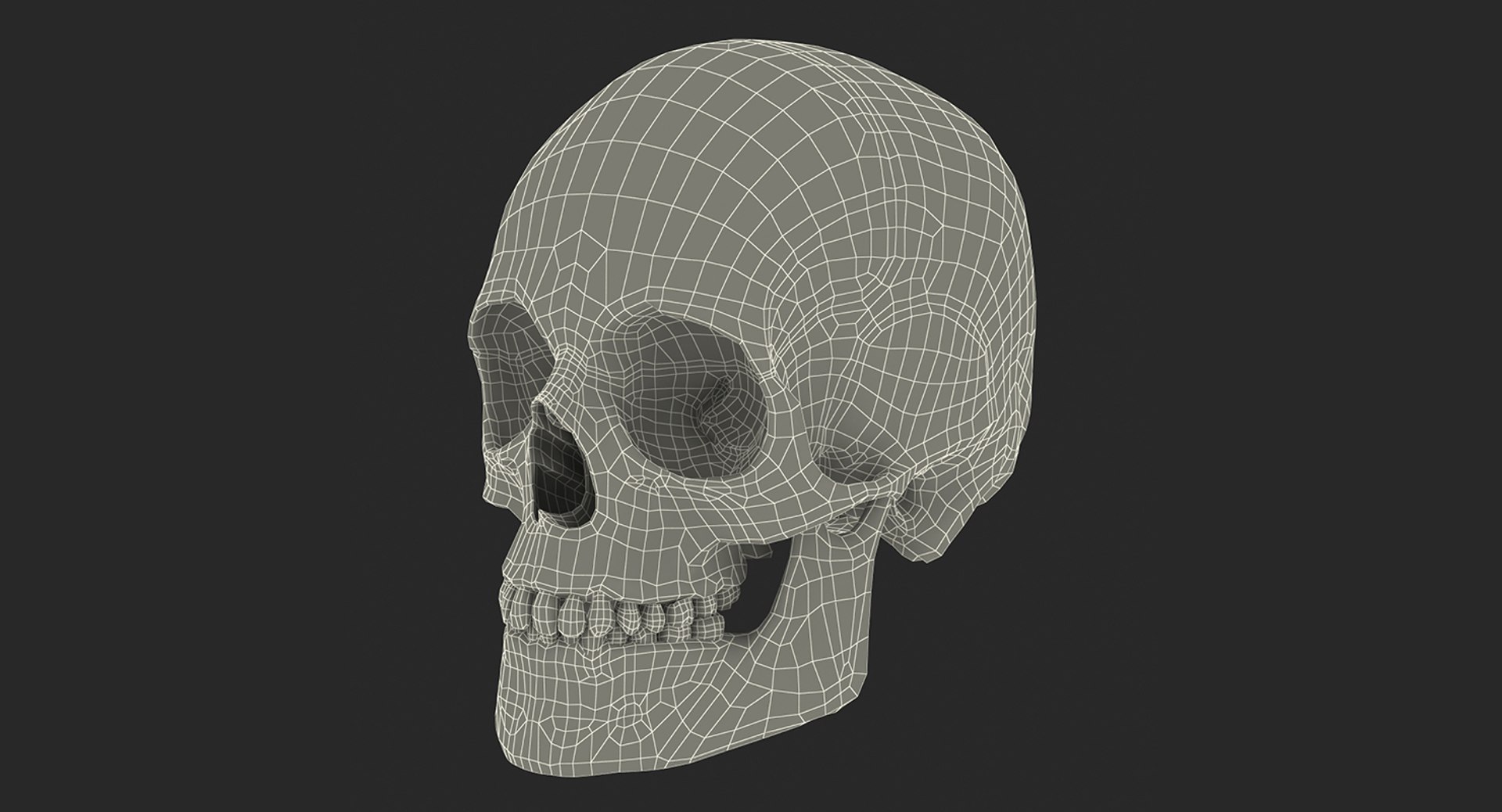 skulls 2 3D model https://p.turbosquid.com/ts-thumb/9o/oLrkNF/mA8W8zqn/skullscollection23dmodel031/jpg/1545523948/1920x1080/fit_q87/f9ca59d4cde7683aff356fe239489e9c1a88ffa3/skullscollection23dmodel031.jpg