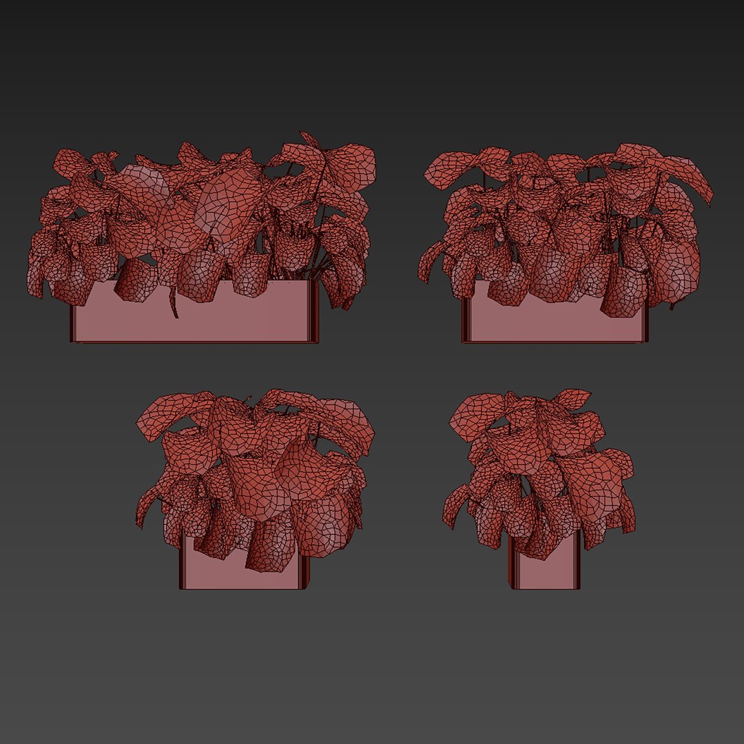 3D plant vol 889 - indoor - monstera model https://p.turbosquid.com/ts-thumb/9o/q3snAH/G9/6/jpg/1780845608/1920x1080/fit_q87/bcd39f8e105c3ccf46eb88eb84a0645fd4008520/6.jpg