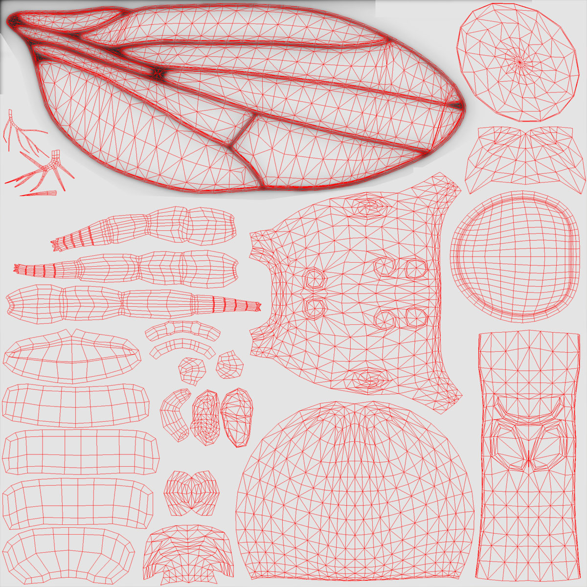 drosophila melanogaster fruit fly obj