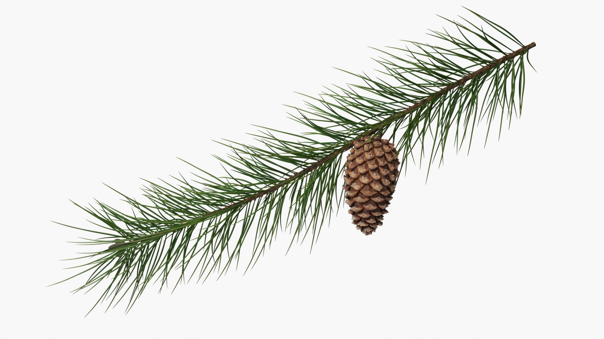 3D Heart-Shaped Christmas Ornament on Pine Branch model https://p.turbosquid.com/ts-thumb/9p/ELWymu/u9/heartshaped_christmas_ornament_on_pine_branch_007/jpg/1761145101/1920x1080/fit_q87/ce5a7f98346349c0a32ab04ac46cc64256f5d87d/heartshaped_christmas_ornament_on_pine_branch_007.jpg