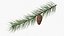 Heart-Shaped Christmas Ornament on Pine Branch