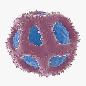 Pollen