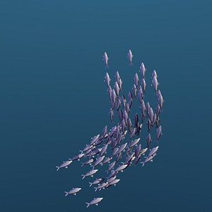 Animated School Of Sardine Fishes Swimming Type 1