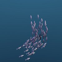 Animated School Of Sardine Fishes Swimming Type 1