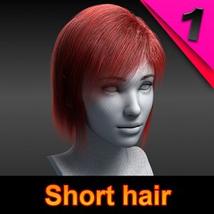 Short Hair01