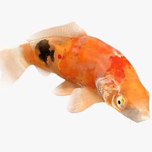 Japanese Carp Fish Rigged L1822 3D model
