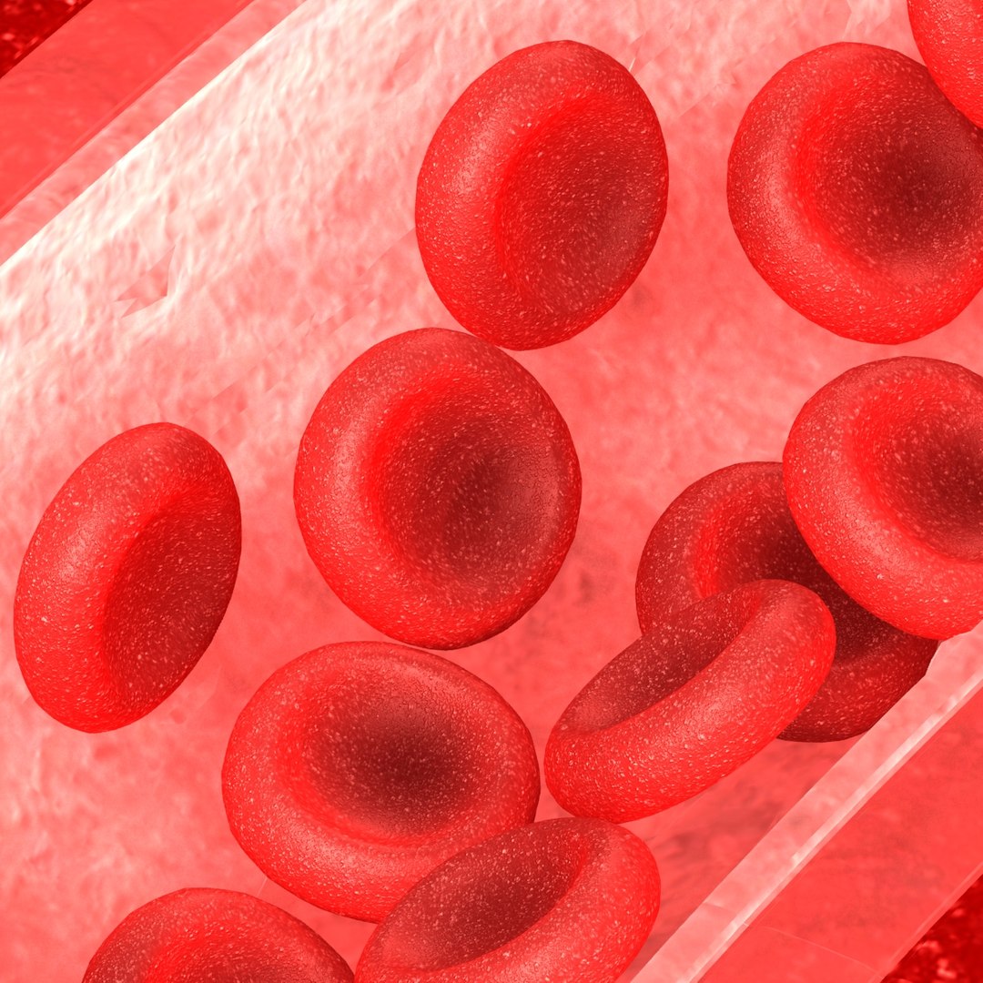 maya blood vessel https://p.turbosquid.com/ts-thumb/9p/XYETjF/OVQtLZGr/blood_vessel_002/jpg/1473428837/1920x1080/fit_q87/b27a1fa1642d636d2361edee01bb08756590167d/blood_vessel_002.jpg