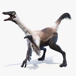 gallinimus gallimimus 3D model