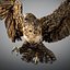 Animated Hawk